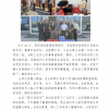 菏澤市建設(shè)工程監(jiān)理咨詢有限公司簡報(146) 
